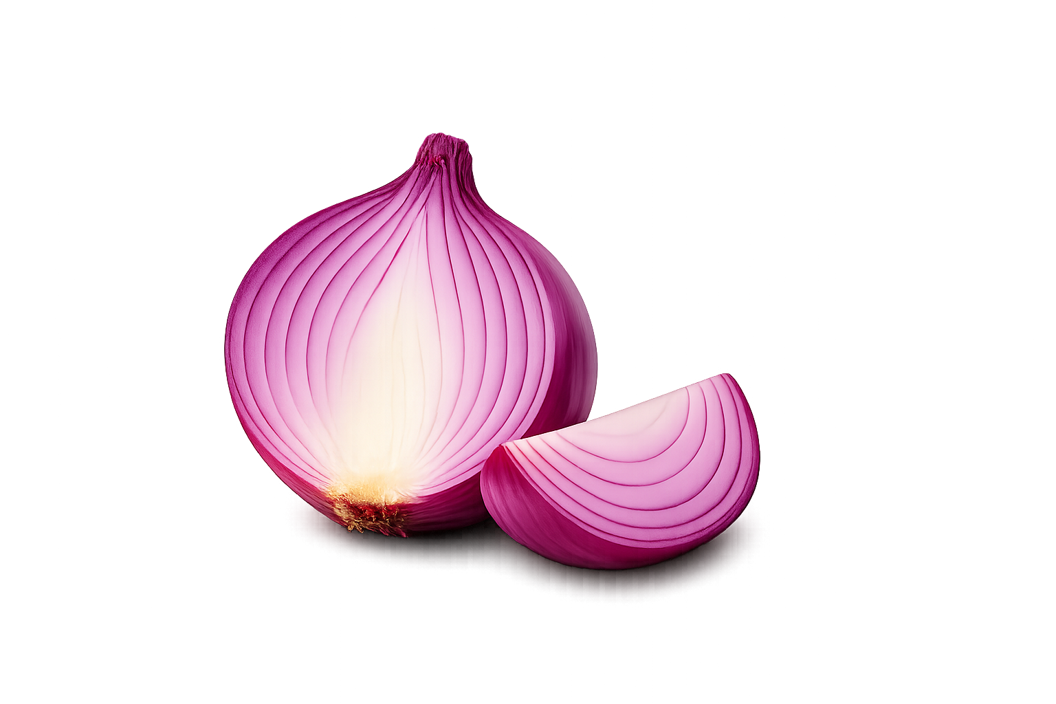 CEBOLLA MORADA