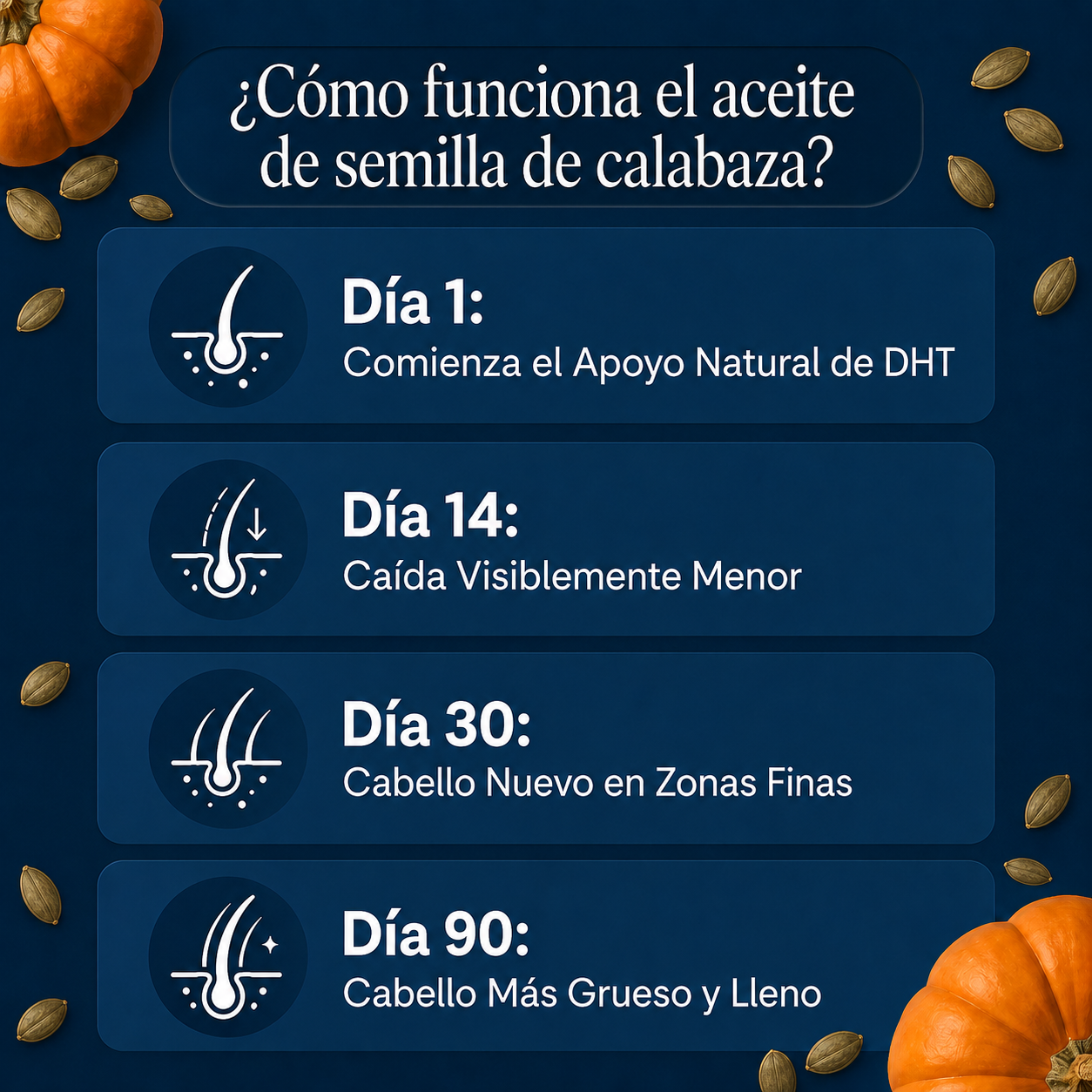 Cómo Funciona